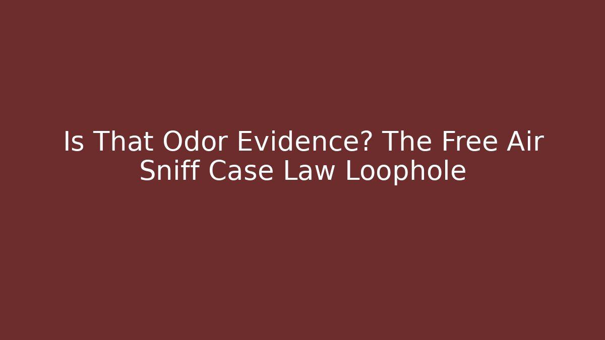 Is That Odor Evidence? The Free Air Sniff Case Law Loophole