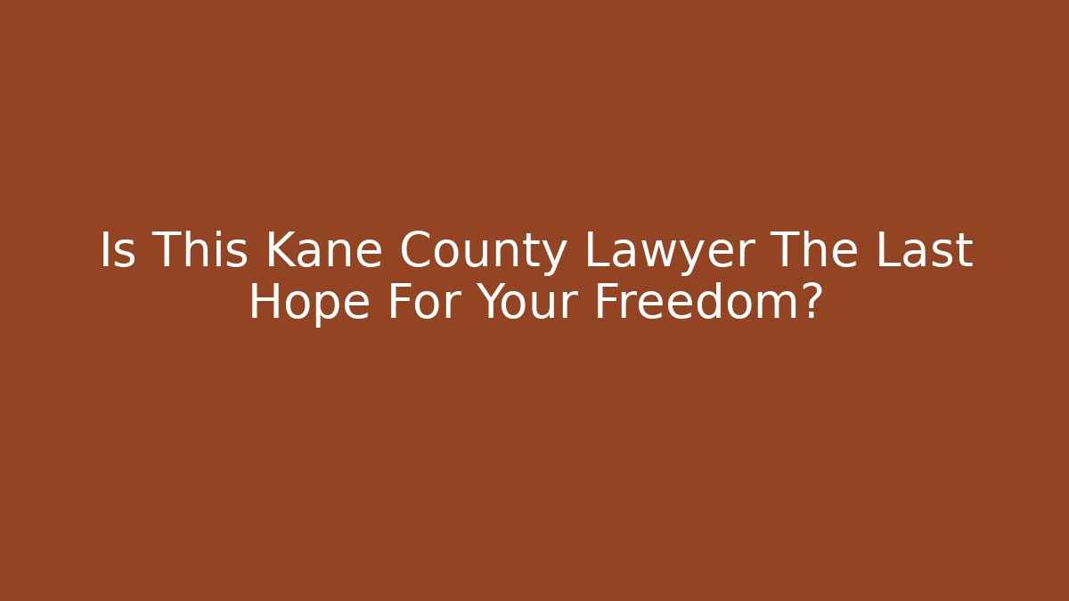 Is This Kane County Lawyer The Last Hope For Your Freedom?