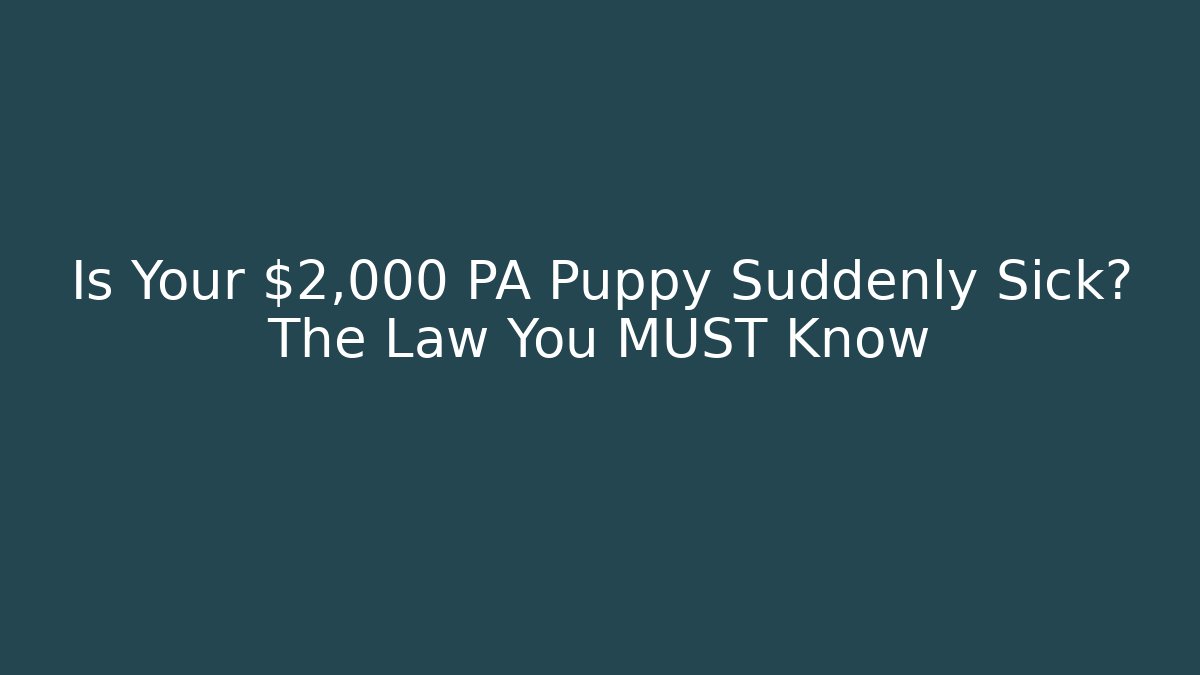 Is Your $2,000 PA Puppy Suddenly Sick? The Law You MUST Know