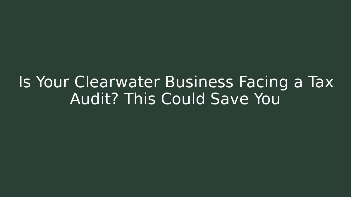 Is Your Clearwater Business Facing a Tax Audit? This Could Save You