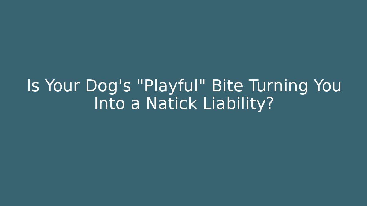Is Your Dog's "Playful" Bite Turning You Into a Natick Liability?