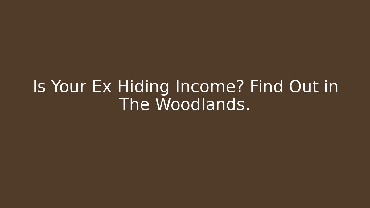 Is Your Ex Hiding Income? Find Out in The Woodlands.