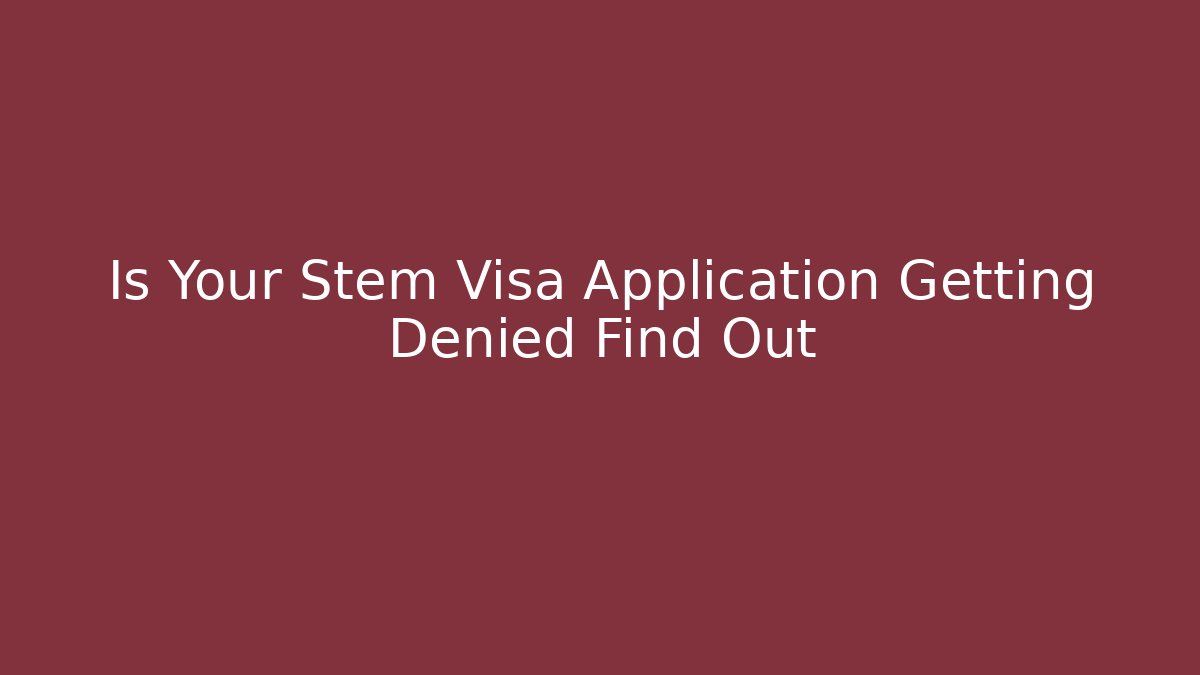 Is Your Stem Visa Application Getting Denied Find Out