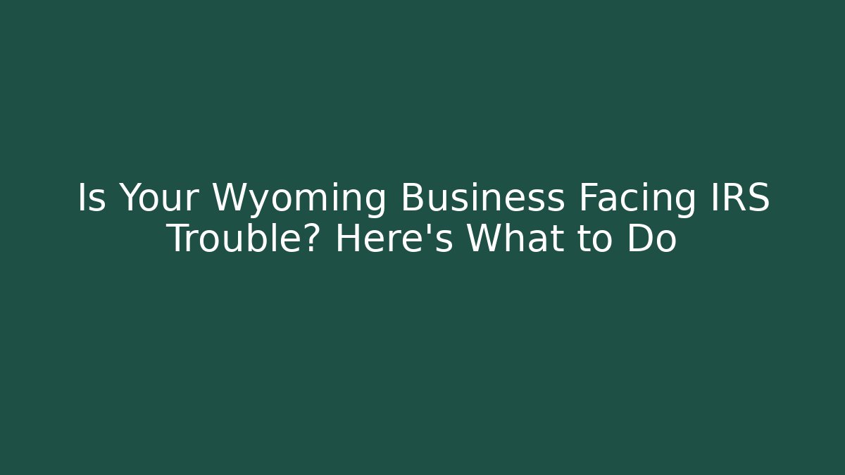 Is Your Wyoming Business Facing IRS Trouble? Here's What to Do