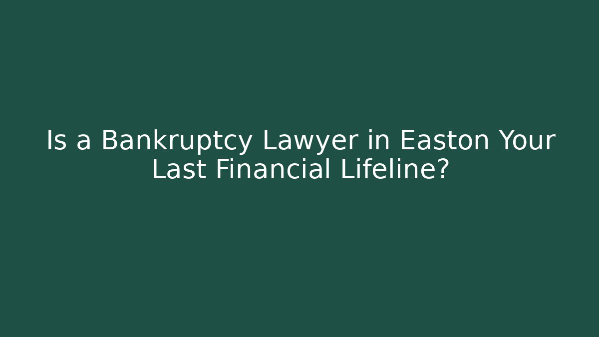 Is a Bankruptcy Lawyer in Easton Your Last Financial Lifeline?