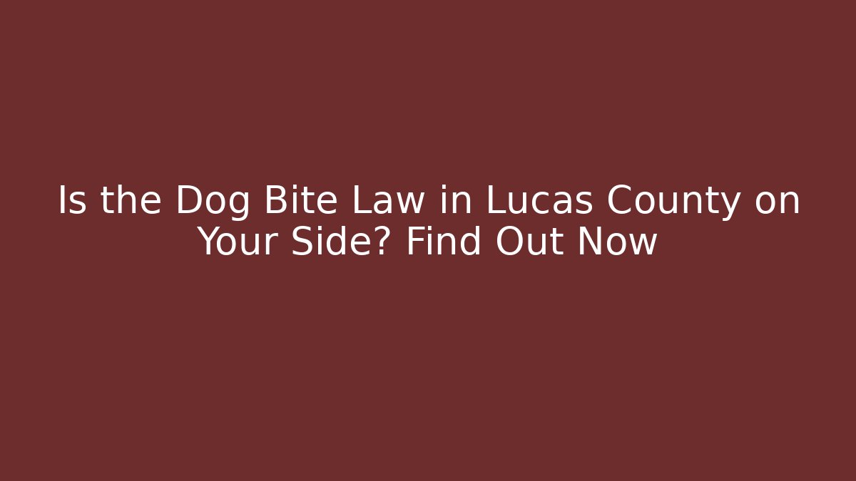 Is the Dog Bite Law in Lucas County on Your Side? Find Out Now