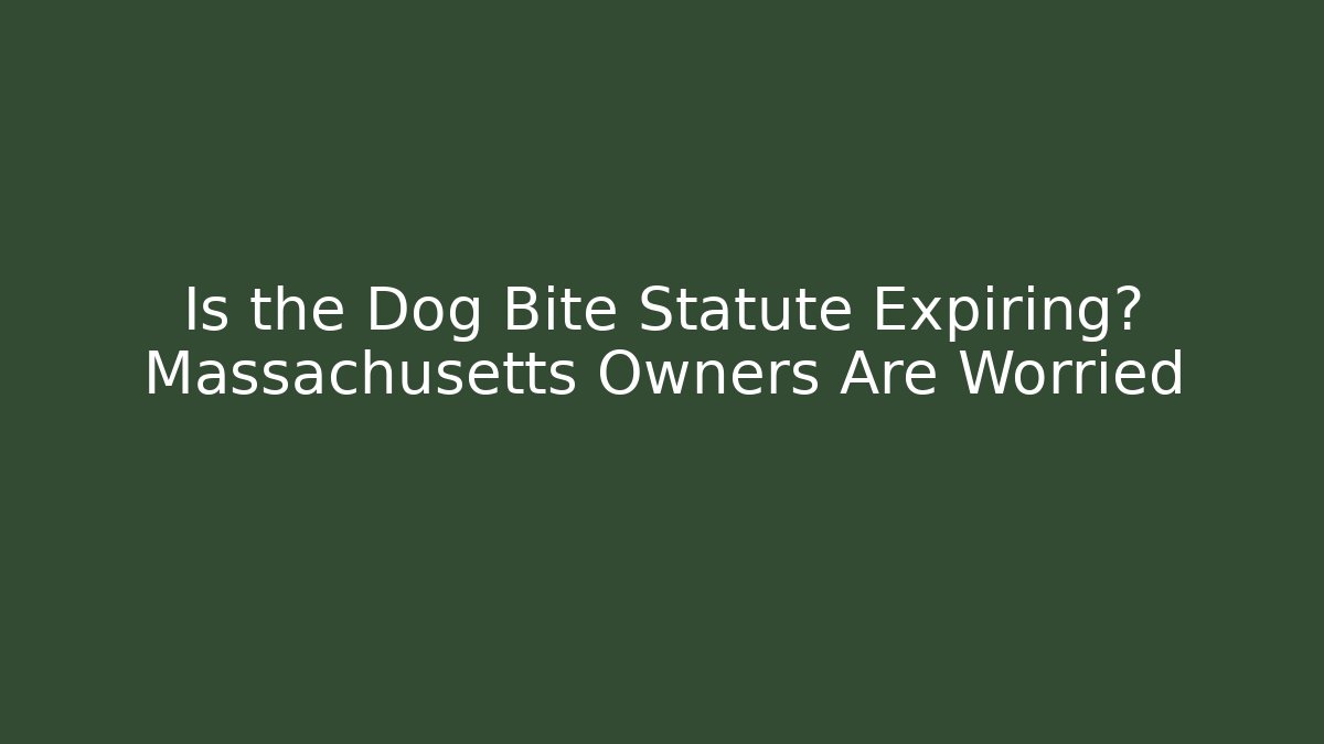 Is the Dog Bite Statute Expiring? Massachusetts Owners Are Worried