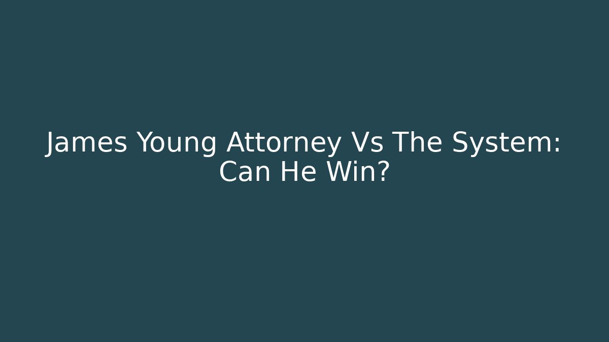 James Young Attorney Vs The System: Can He Win?