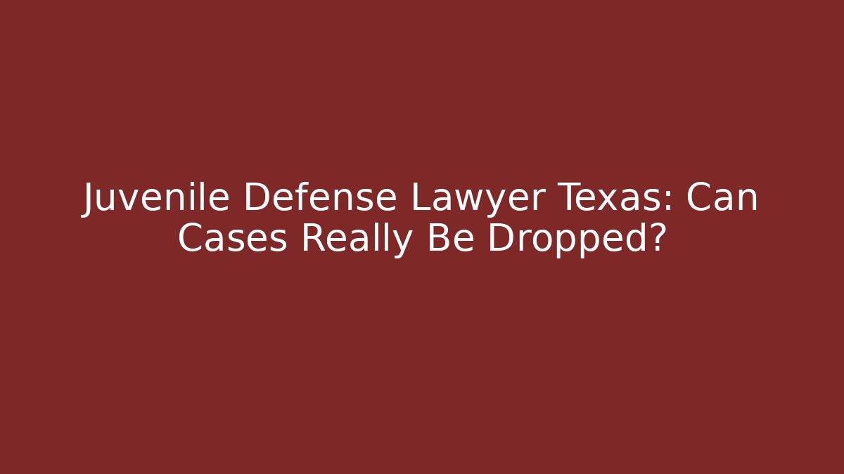 Juvenile Defense Lawyer Texas: Can Cases Really Be Dropped?