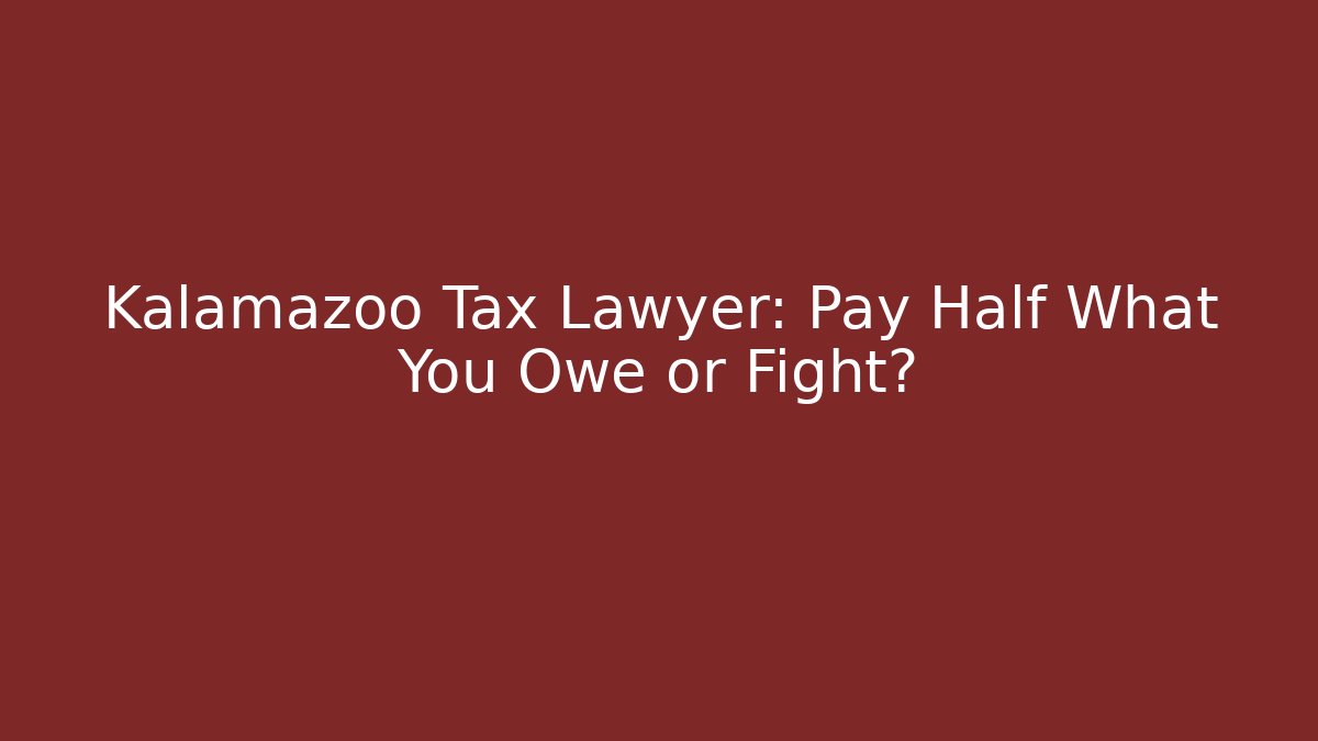 Kalamazoo Tax Lawyer: Pay Half What You Owe or Fight?
