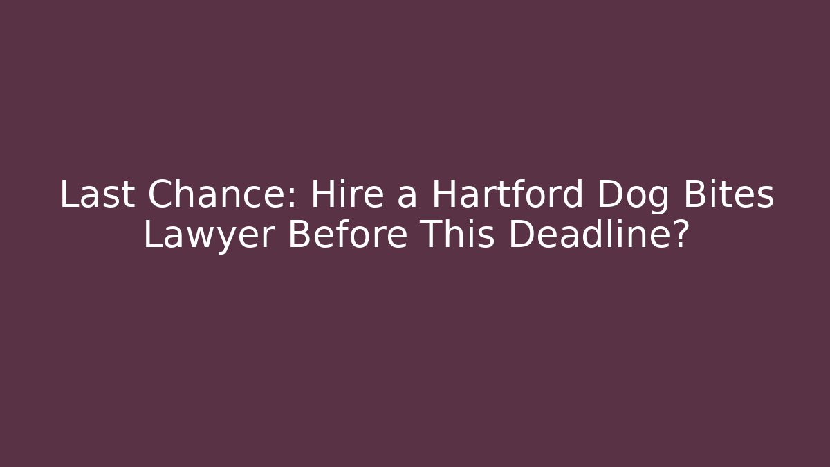 Last Chance: Hire a Hartford Dog Bites Lawyer Before This Deadline?