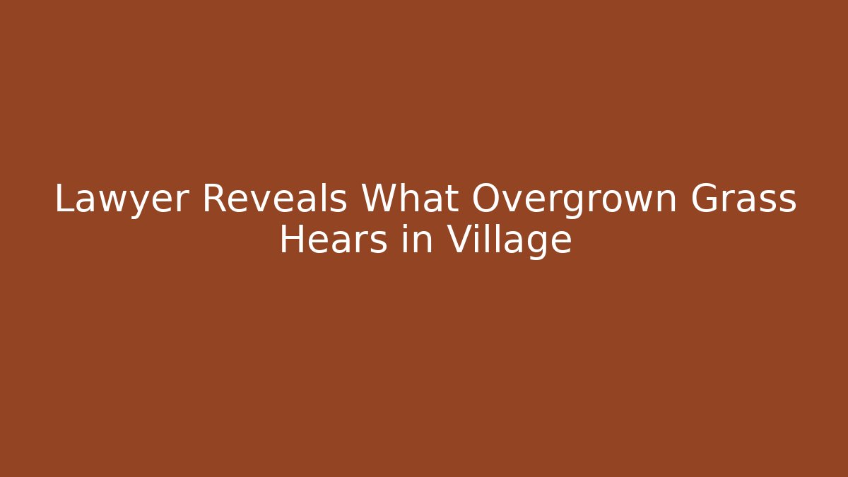 Lawyer Reveals What Overgrown Grass Hears in Village