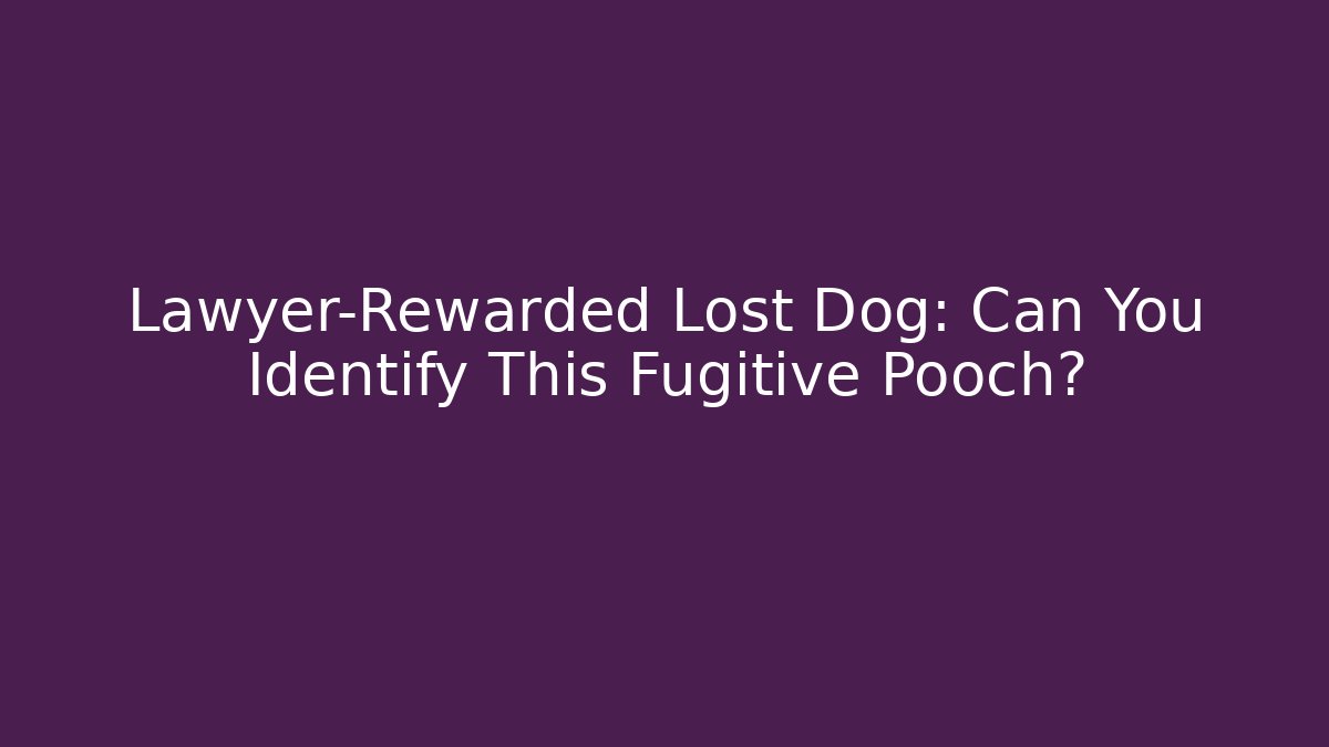Lawyer-Rewarded Lost Dog: Can You Identify This Fugitive Pooch?