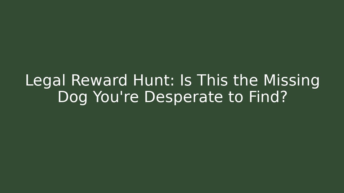 Legal Reward Hunt: Is This the Missing Dog You’re Desperate to Find?