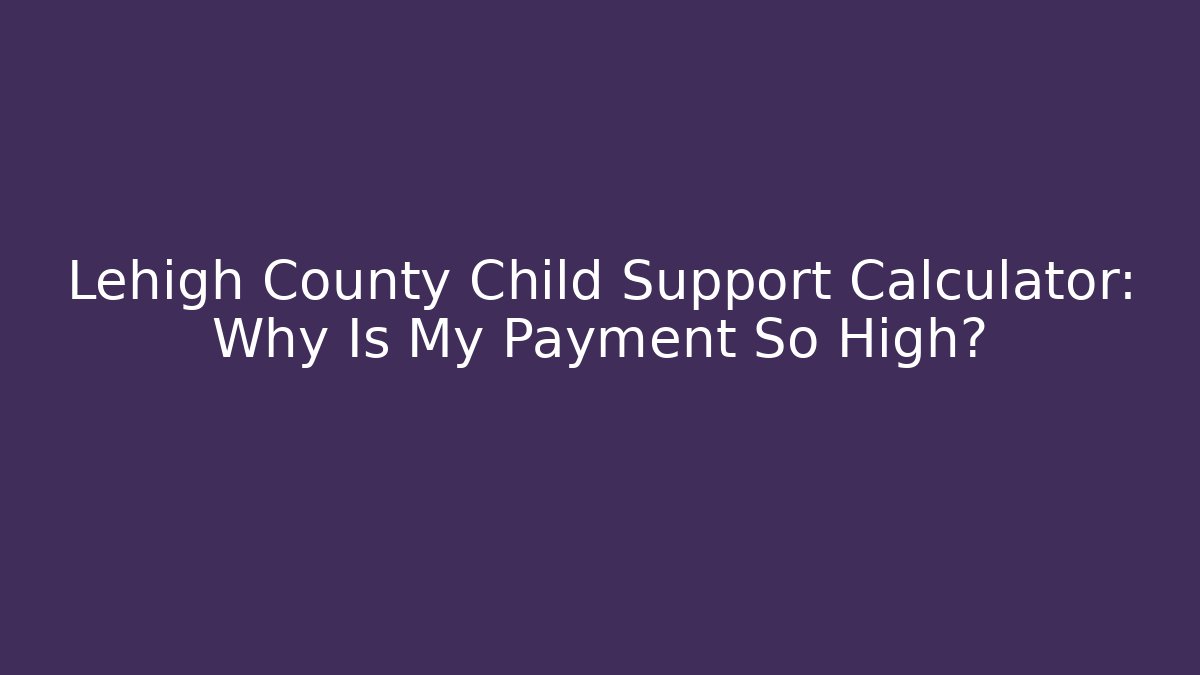 Lehigh County Child Support Calculator: Why Is My Payment So High?