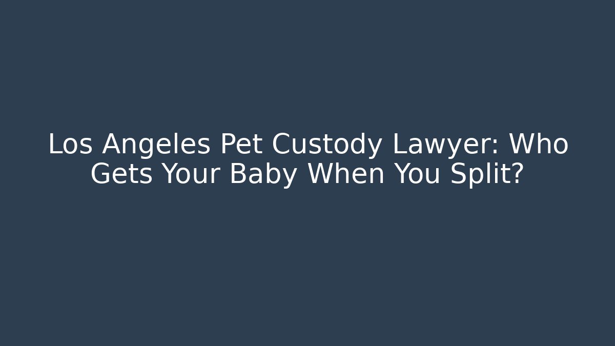 Los Angeles Pet Custody Lawyer: Who Gets Your Baby When You Split?