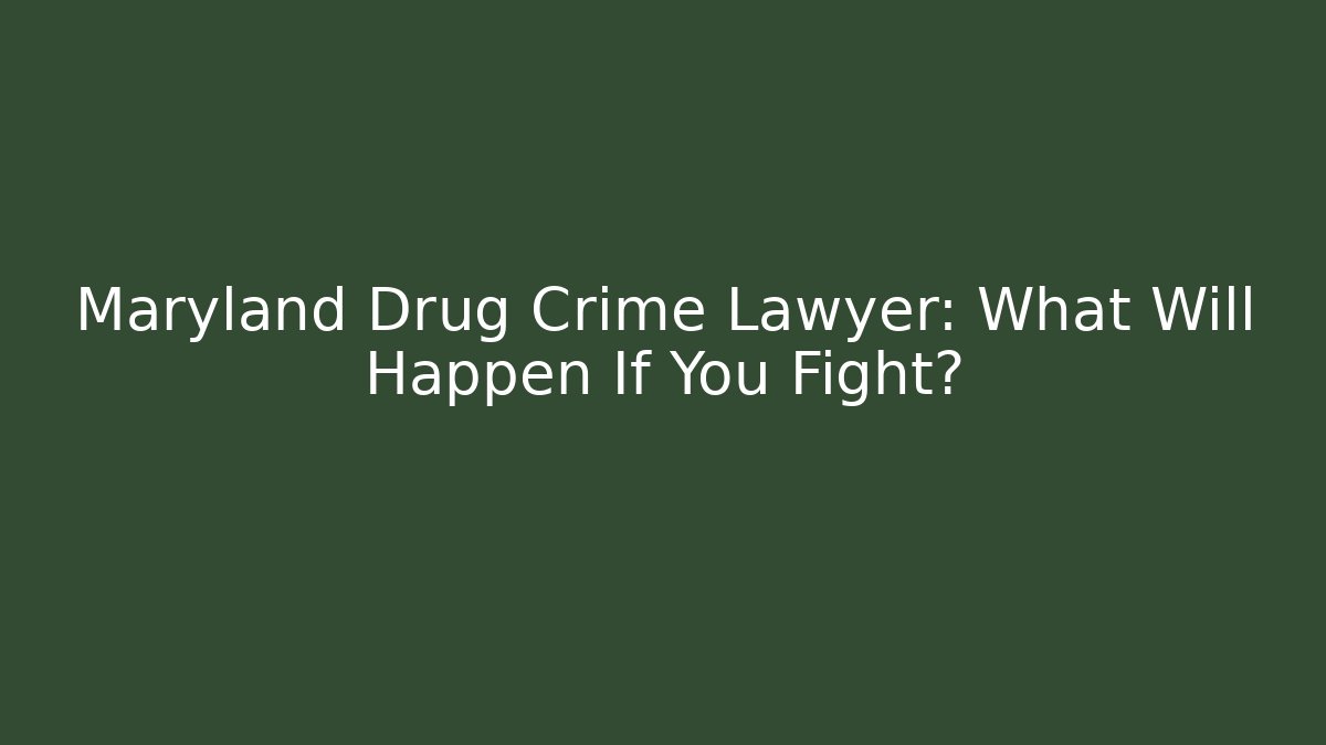 Maryland Drug Crime Lawyer: What Will Happen If You Fight?