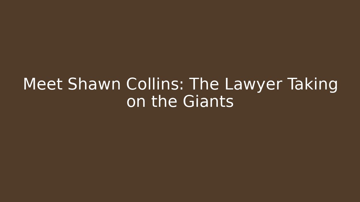 Meet Shawn Collins: The Lawyer Taking on the Giants