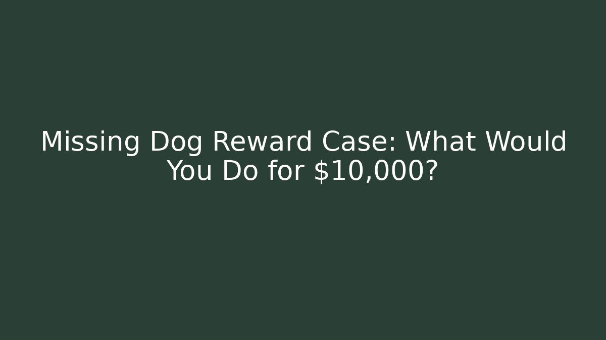 Missing Dog Reward Case: What Would You Do for $10,000?