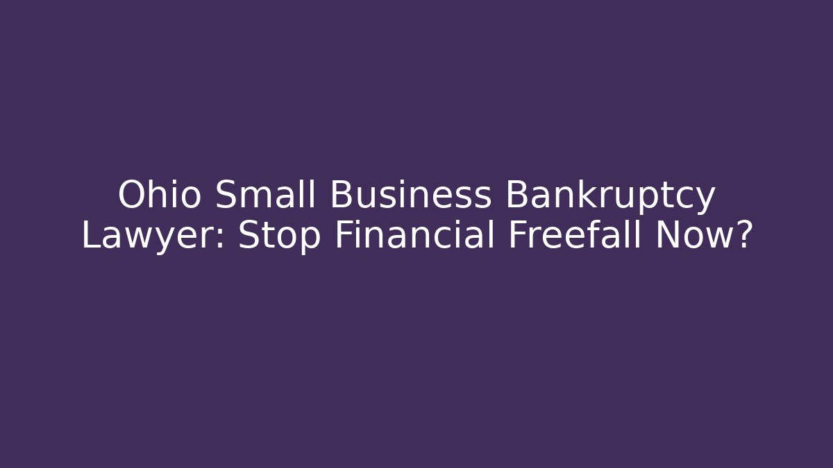 Ohio Small Business Bankruptcy Lawyer: Stop Financial Freefall Now?