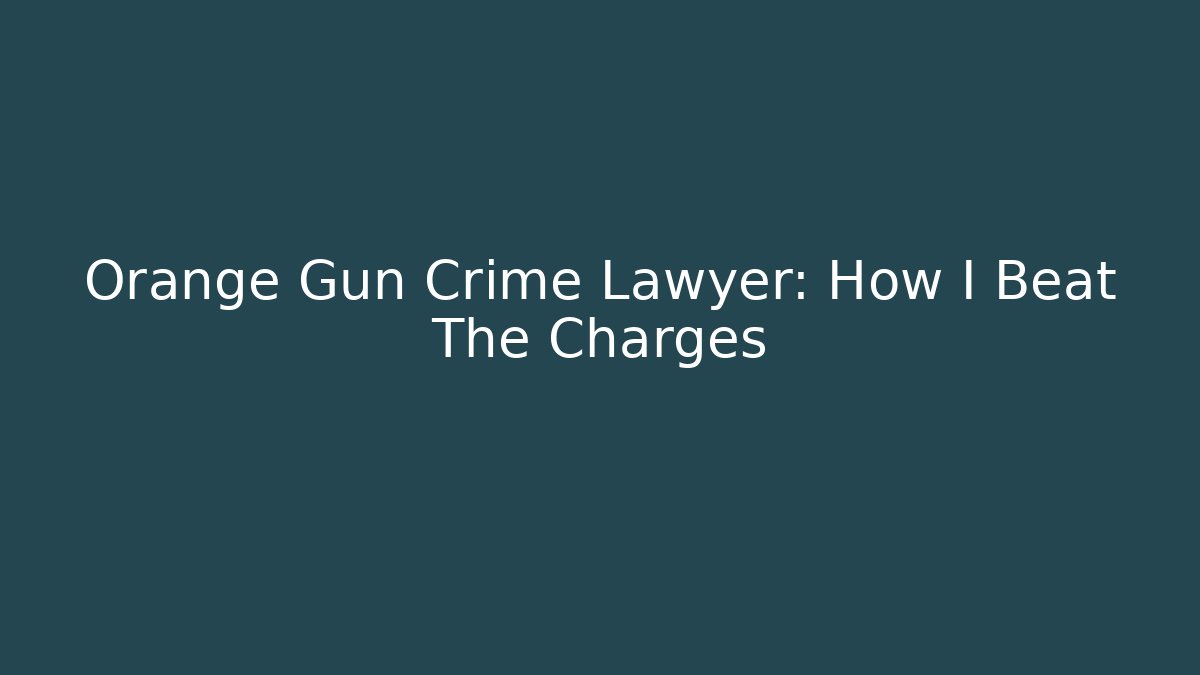 Orange Gun Crime Lawyer: How I Beat The Charges
