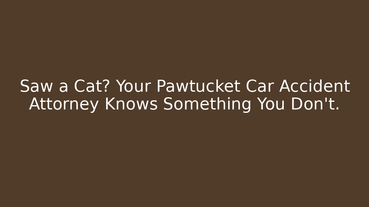 Saw a Cat? Your Pawtucket Car Accident Attorney Knows Something You Don’t.