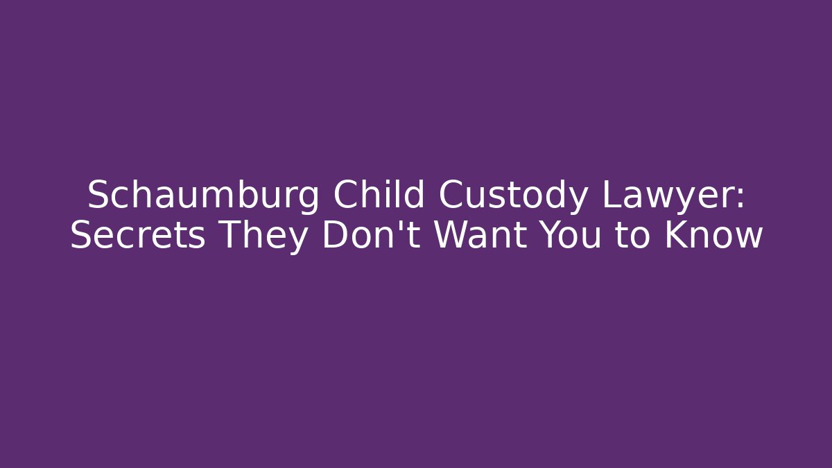Schaumburg Child Custody Lawyer: Secrets They Don’t Want You to Know