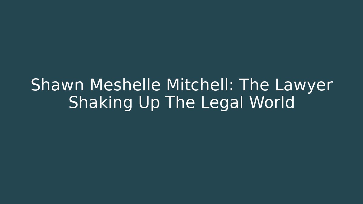 Shawn Meshelle Mitchell: The Lawyer Shaking Up The Legal World