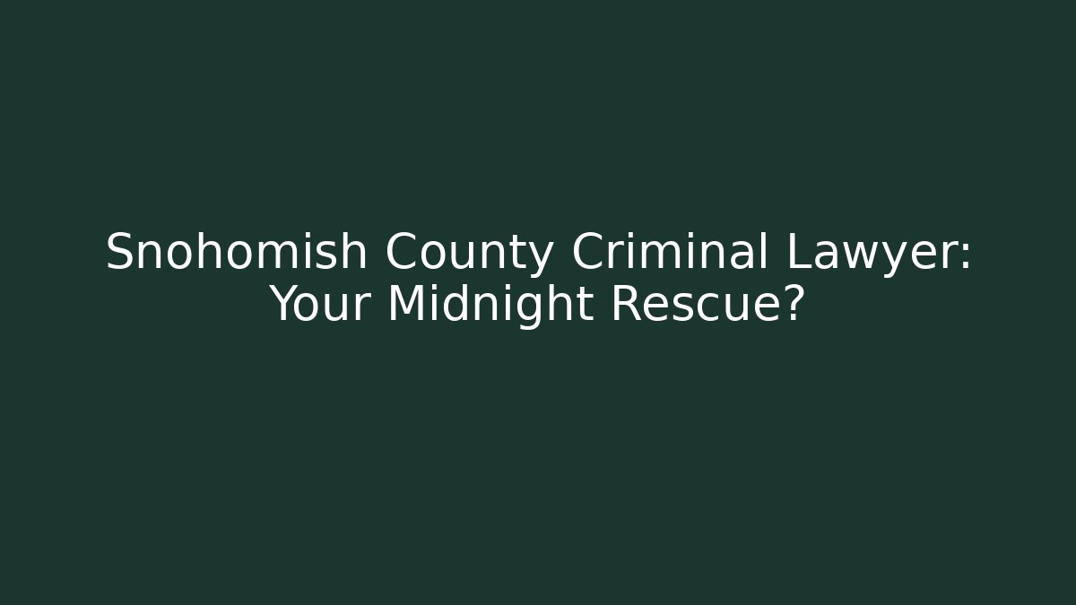 Snohomish County Criminal Lawyer: Your Midnight Rescue?