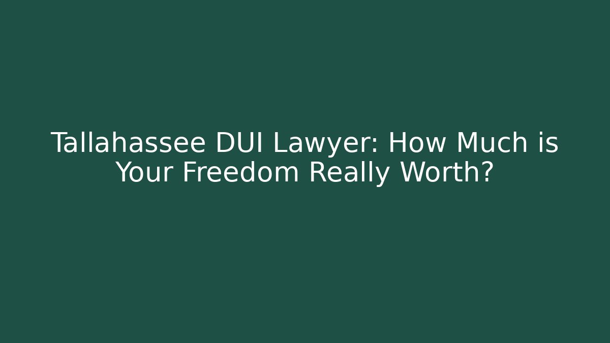 Tallahassee DUI Lawyer: How Much is Your Freedom Really Worth?
