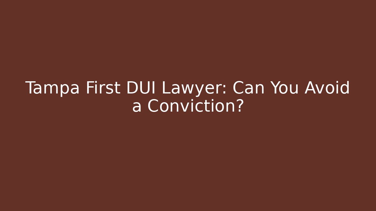 Tampa First DUI Lawyer: Can You Avoid a Conviction?
