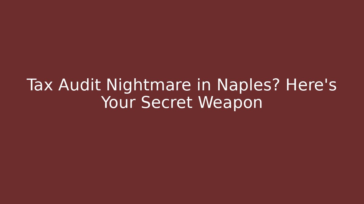 Tax Audit Nightmare in Naples? Here's Your Secret Weapon