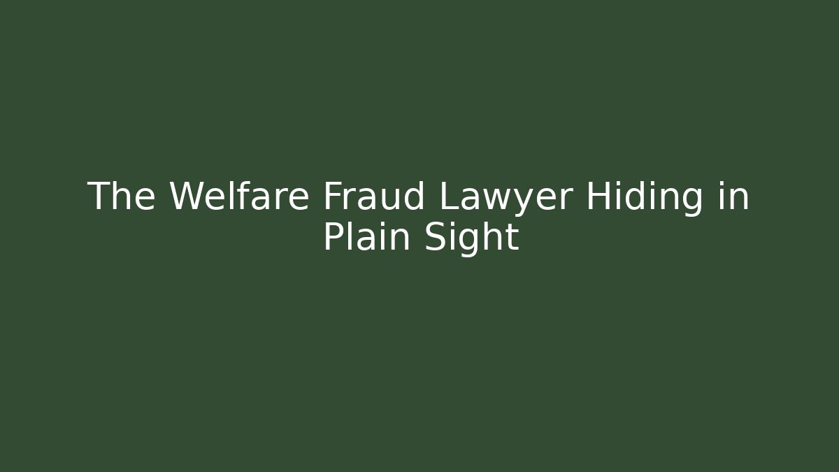 The Welfare Fraud Lawyer Hiding in Plain Sight - WealthxGroup
