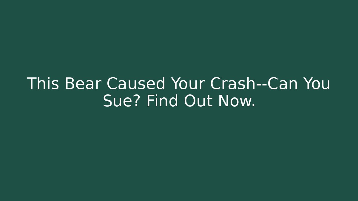 This Bear Caused Your Crash—Can You Sue? Find Out Now.
