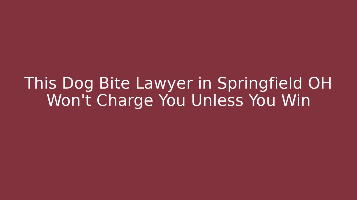 This Dog Bite Lawyer in Springfield OH Won’t Charge You Unless You Win