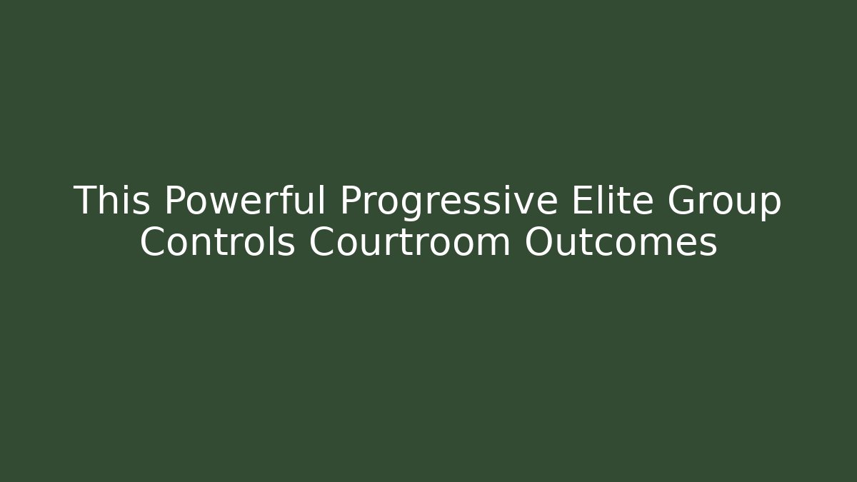 This Powerful Progressive Elite Group Controls Courtroom Outcomes - WealthxGroup