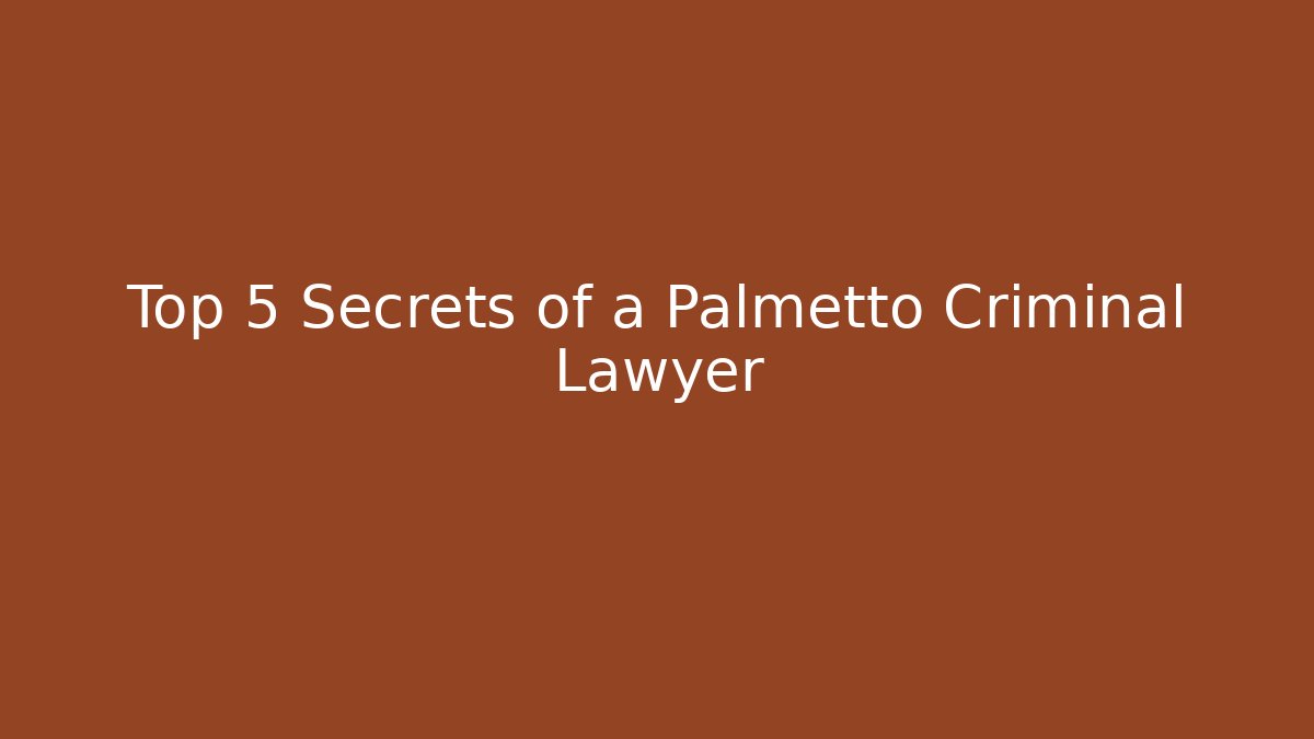 Top 5 Secrets of a Palmetto Criminal Lawyer