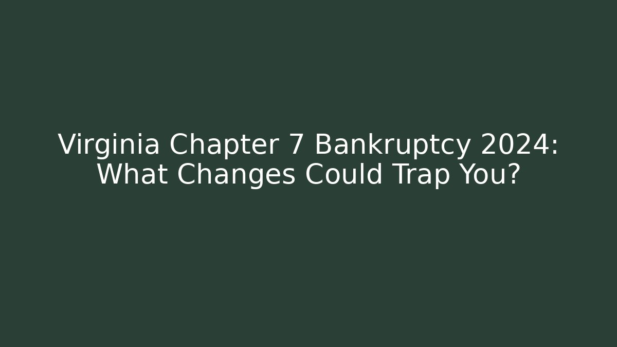 Virginia Chapter 7 Bankruptcy 2024: What Changes Could Trap You?