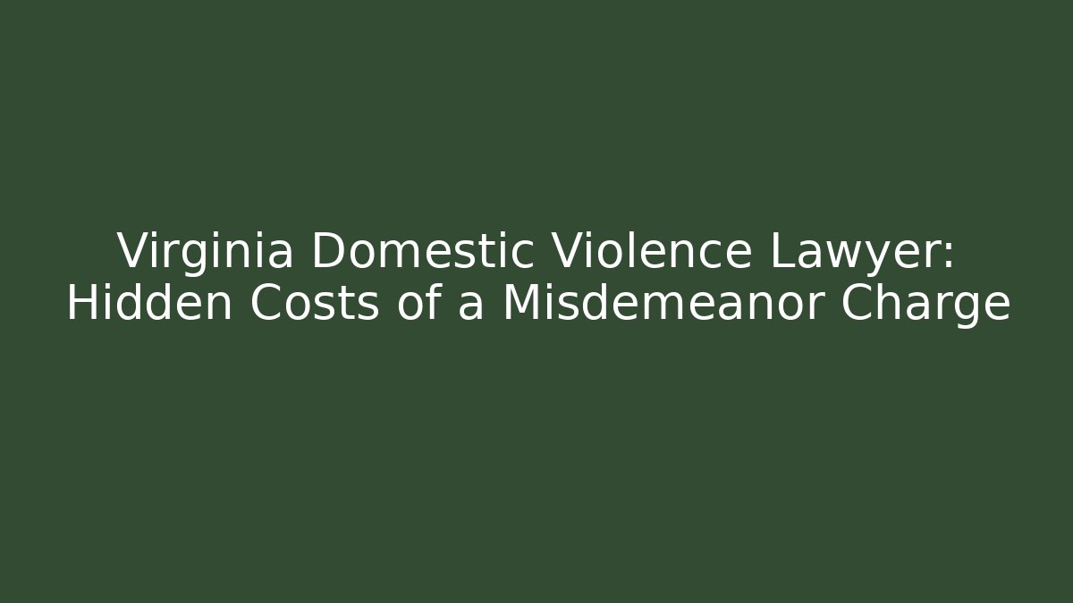 Virginia Domestic Violence Lawyer: Hidden Costs of a Misdemeanor Charge