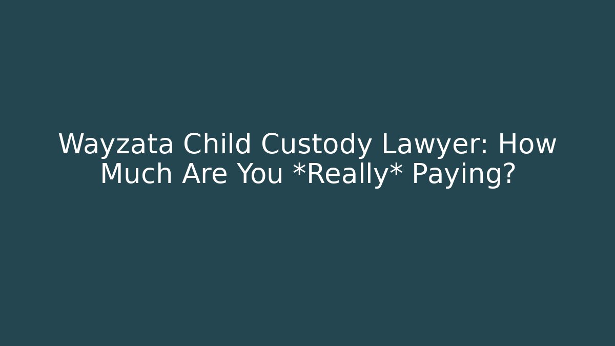 Wayzata Child Custody Lawyer: How Much Are You *Really* Paying?