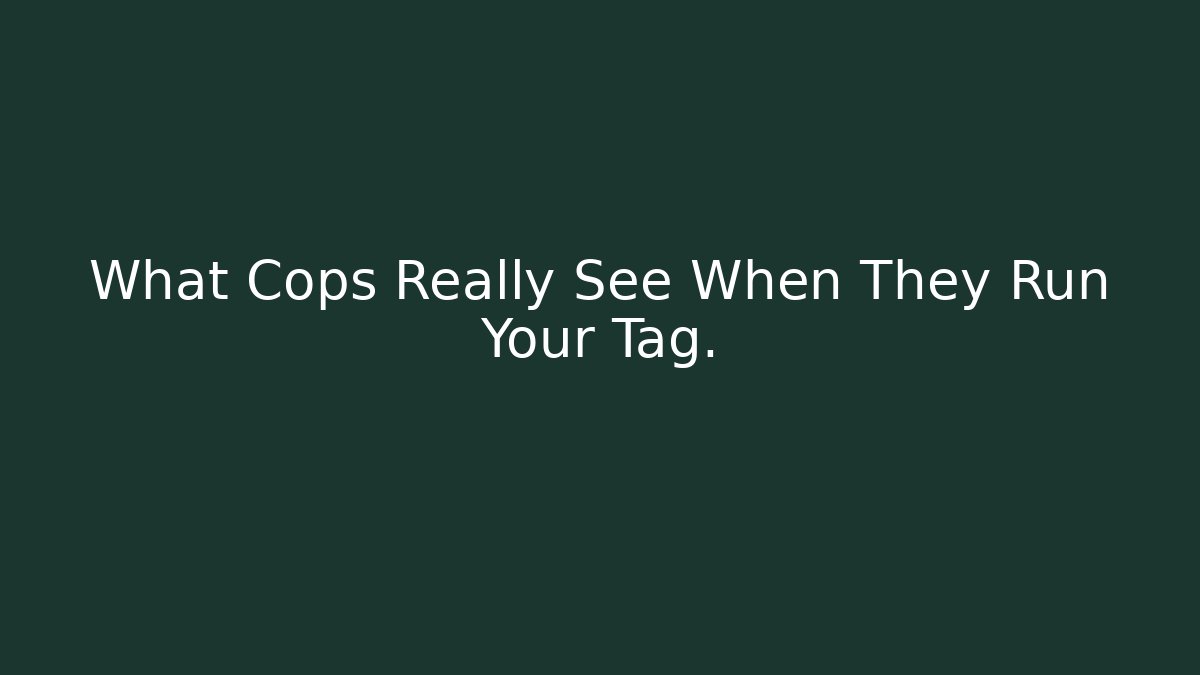 What Cops Really See When They Run Your Tag.