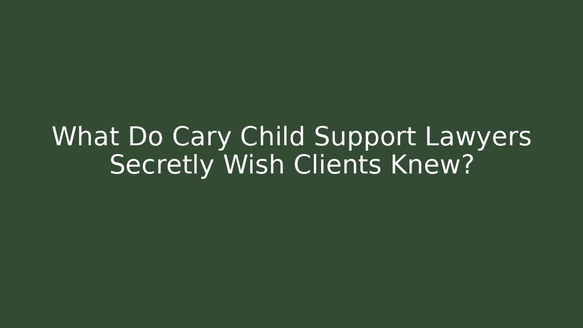 What Do Cary Child Support Lawyers Secretly Wish Clients Knew?