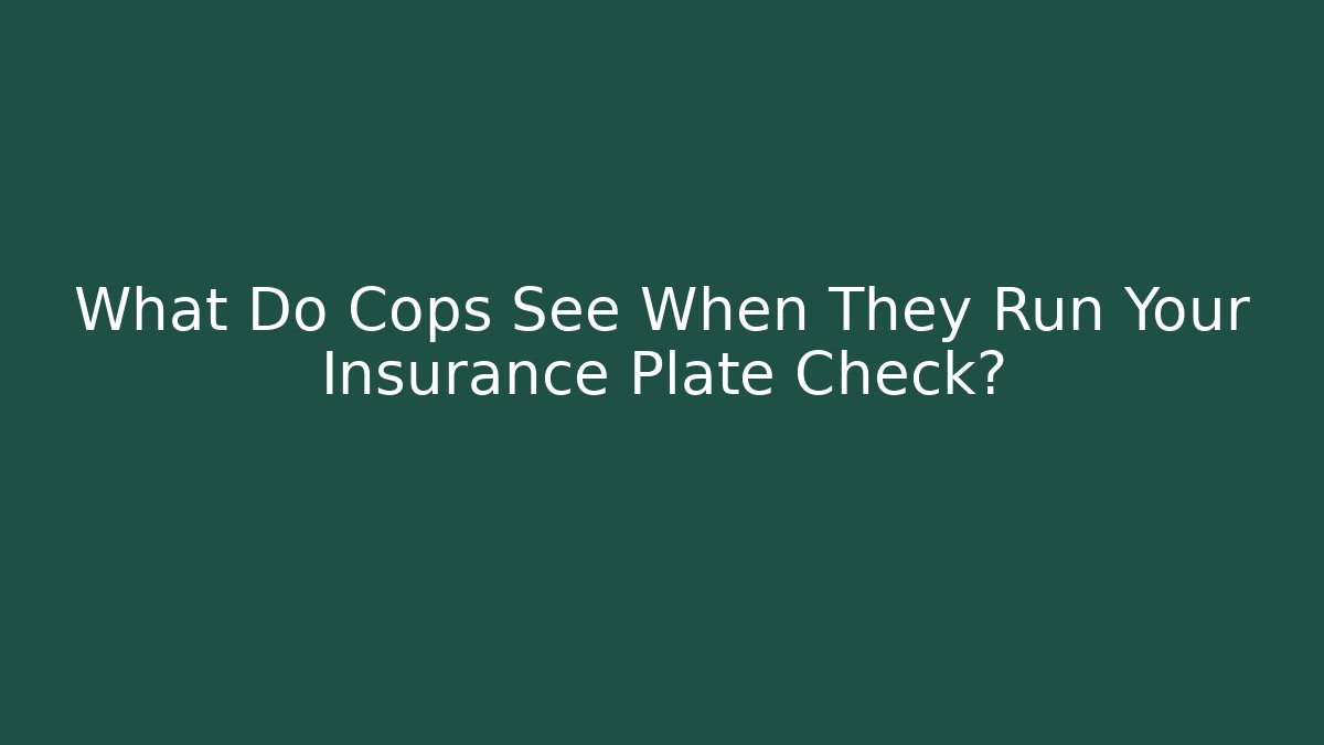 What Do Cops See When They Run Your Insurance Plate Check?