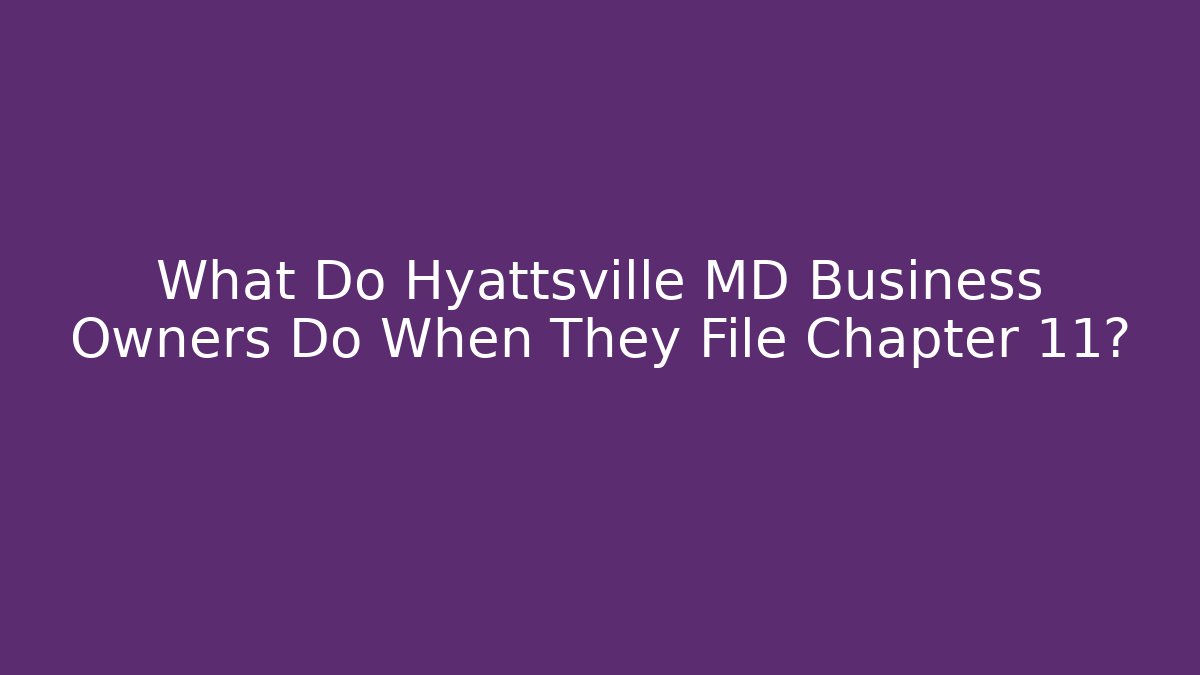 What Do Hyattsville MD Business Owners Do When They File Chapter 11?