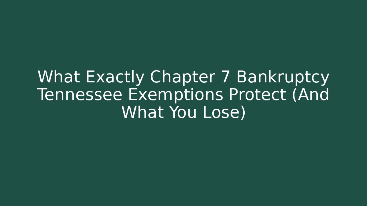 What Exactly Chapter 7 Bankruptcy Tennessee Exemptions Protect (And What You Lose)