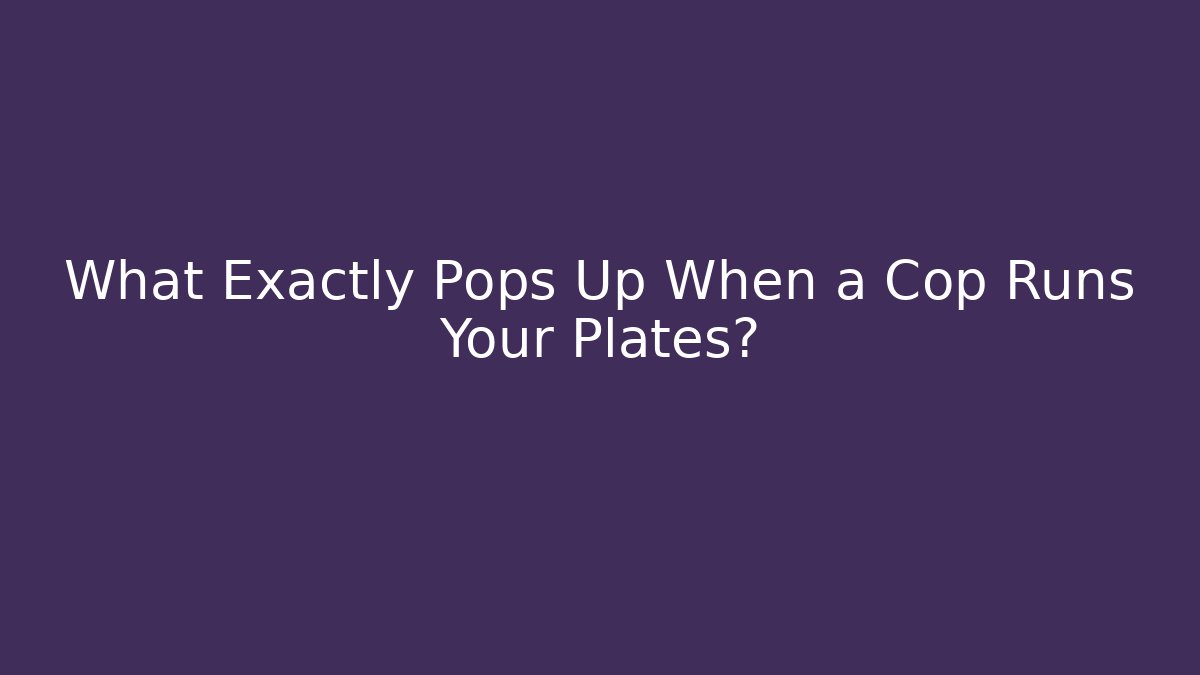 What Exactly Pops Up When a Cop Runs Your Plates?