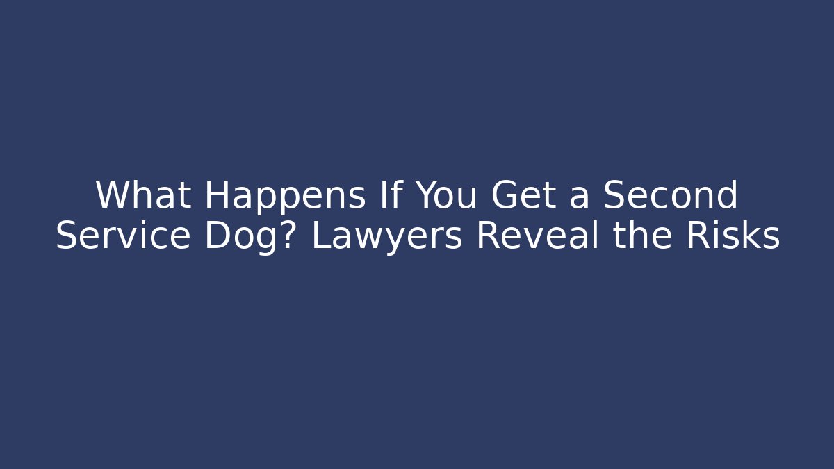 What Happens If You Get a Second Service Dog? Lawyers Reveal the Risks
