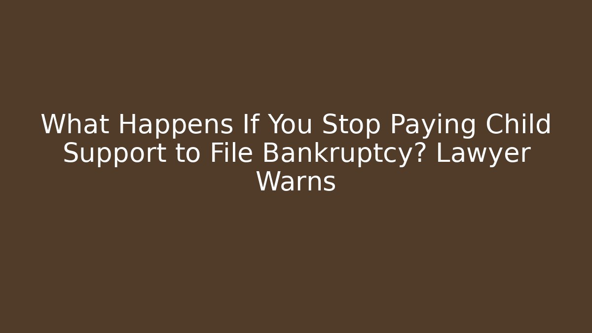 What Happens If You Stop Paying Child Support to File Bankruptcy? Lawyer Warns