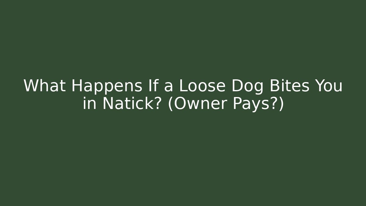 What Happens If a Loose Dog Bites You in Natick? (Owner Pays?)