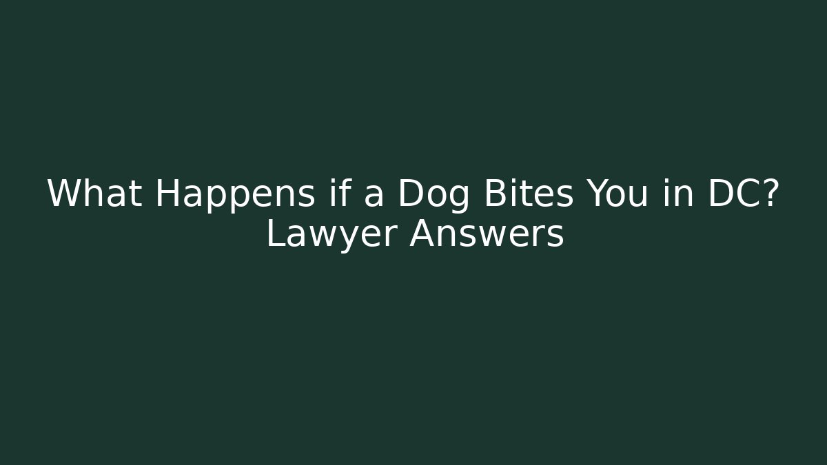 What Happens if a Dog Bites You in DC? Lawyer Answers